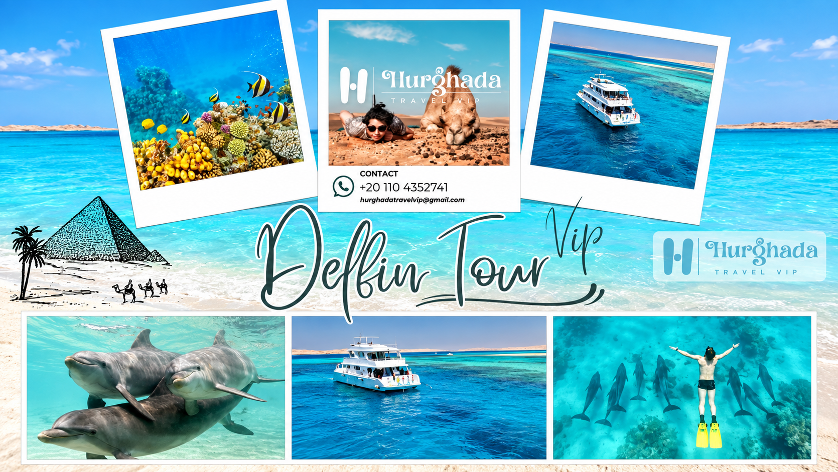 Dolphin Tour