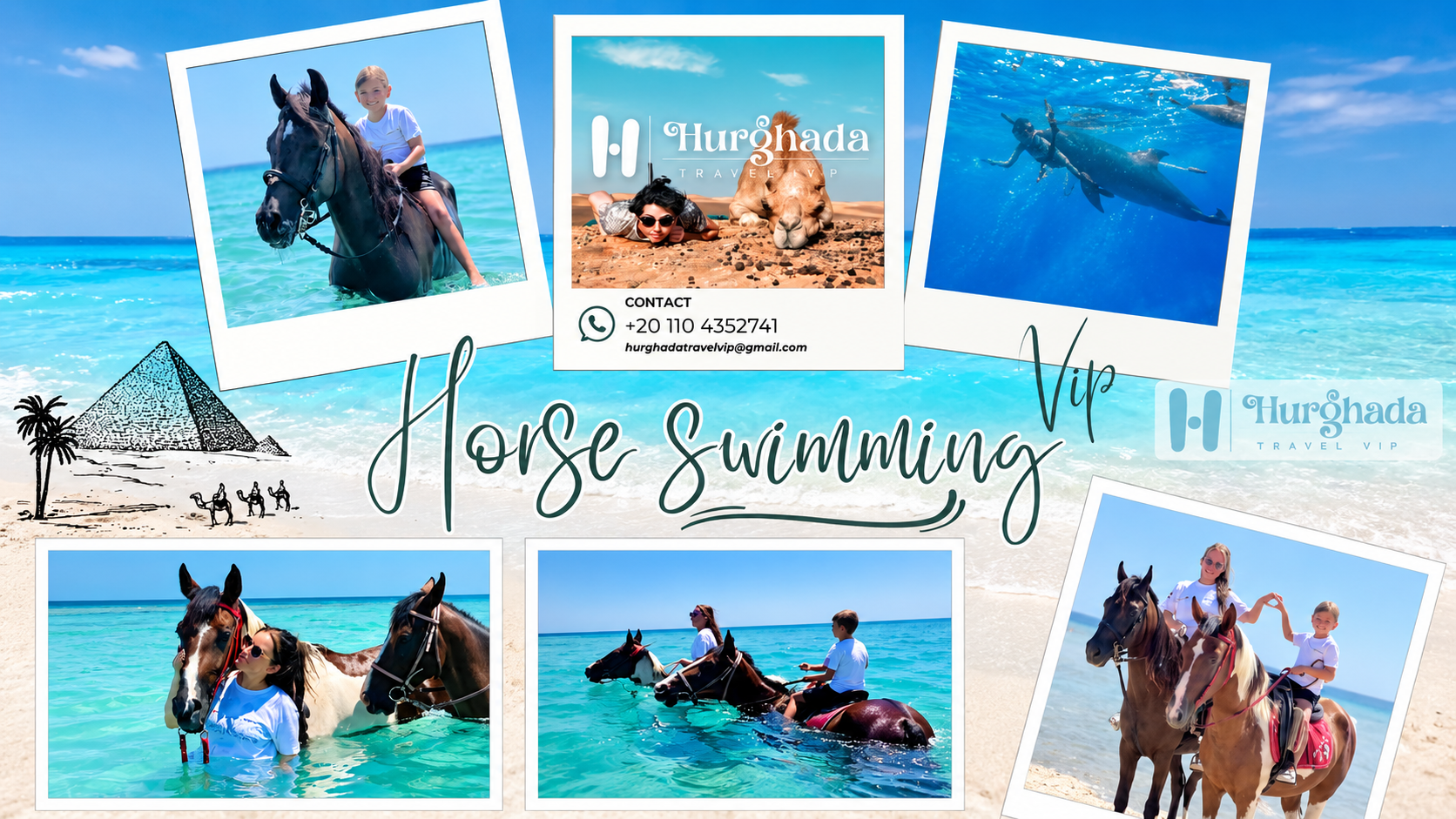 Horse Swimming