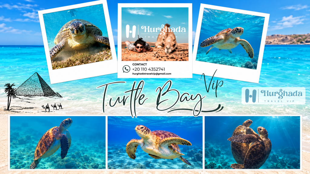 VIP Turtle Bay Abu Dabbab