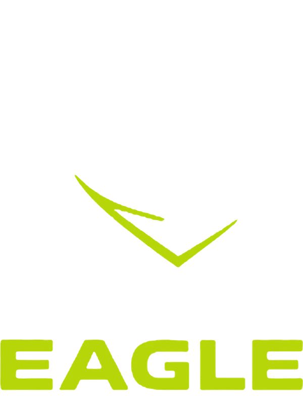Black Eagle — Digital Solutions